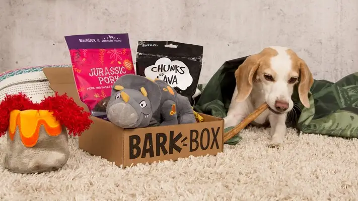 There's no shame in celebrating Valentine's Day with your dog.