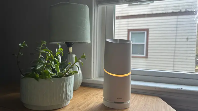 The Vitruvi Move diffuser on a table in front of a window next to a lamp and a succulent.