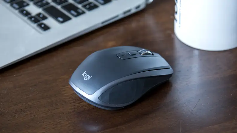 Mouse