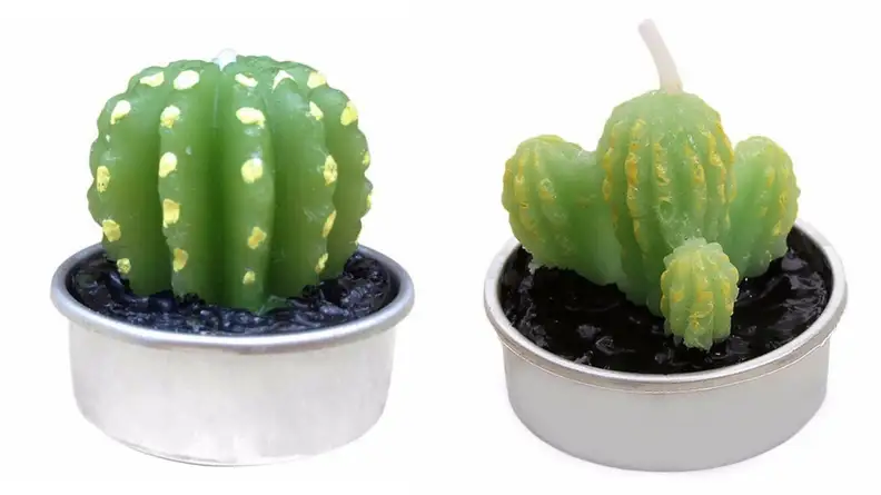 Cactus-Candle