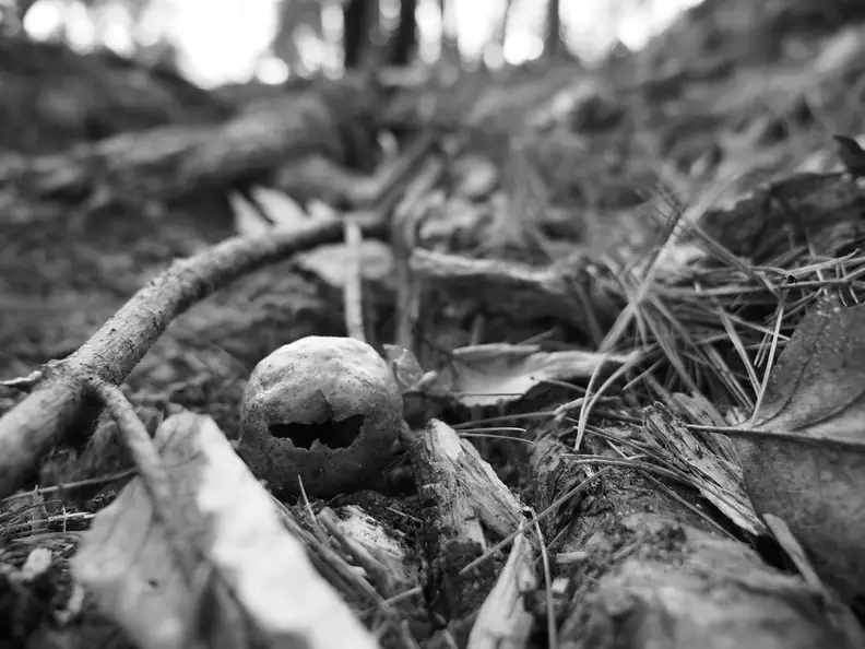 EXIF: 12mm, ISO 200, 1/200, f/2.8