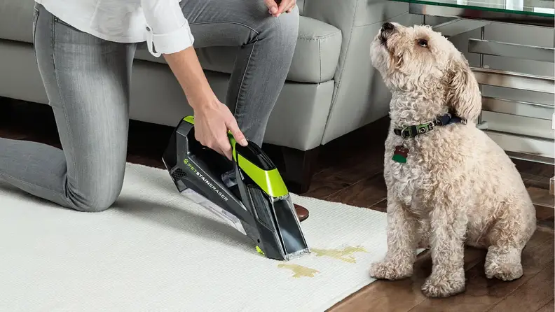 Bissell Pet Stain Eraser Cordless Portable Carpet Cleaner