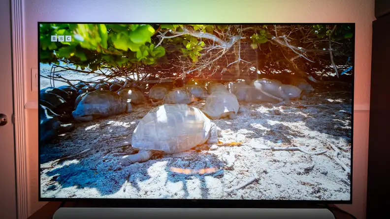 Philips Ambilight 7985 TV showing a nature scene, with multicolored ambient light behind the TV.