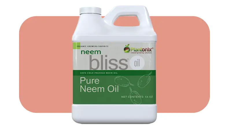 White bottle of Plantonix Neem Bliss neem oil solution with handle located at top in front of pink background.