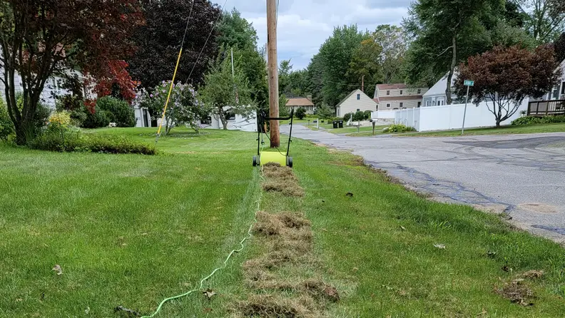 One stripe of lawn has been torn up