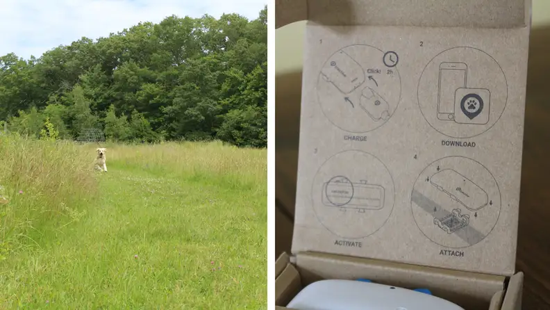 Dog running in field and tractive box instructions
