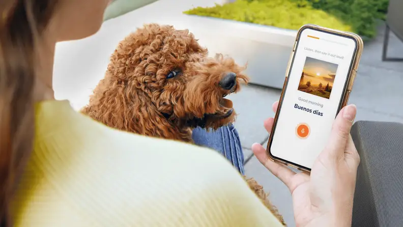 A woman sitting with her dog is looking at her phone with a Babbel lesson on it