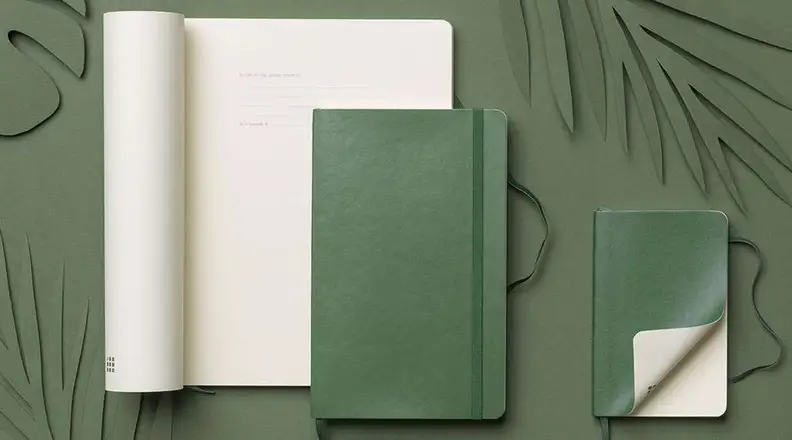 Moleskine notebooks on green background