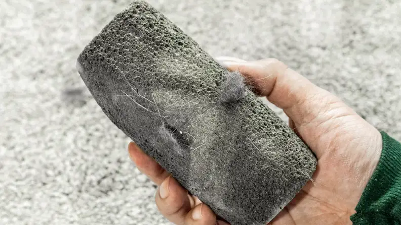 Person holding the Furz-off pumice stone covered in pet hair.