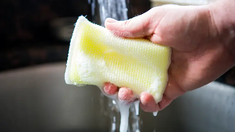 A Dobie sponge for washing dishes