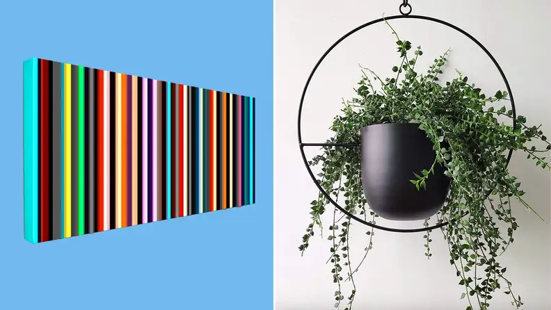 On left, colorful wall art from TheModernArtShop. On right, hanging potted plant.