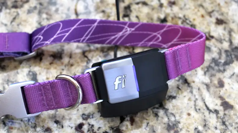 The Fi Collar's battery can last up to three months per charge.