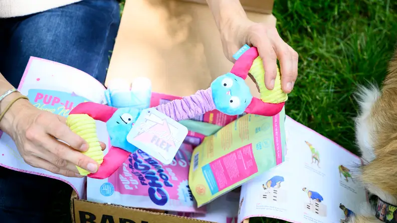 Closeup of the toys in a BarkBox