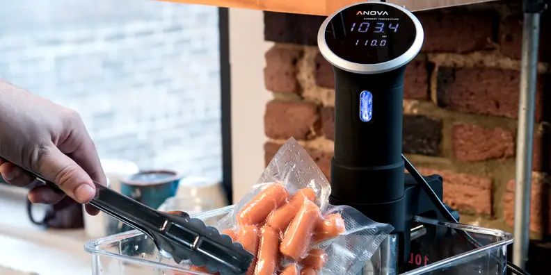 Anova immersion circulator