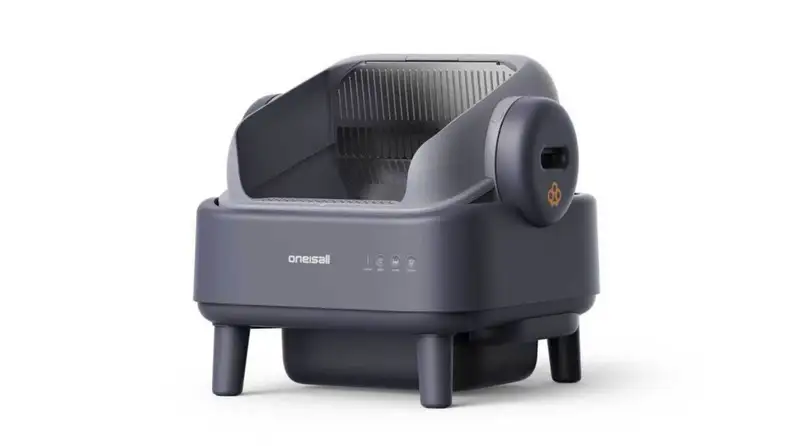 A cat's litter box
