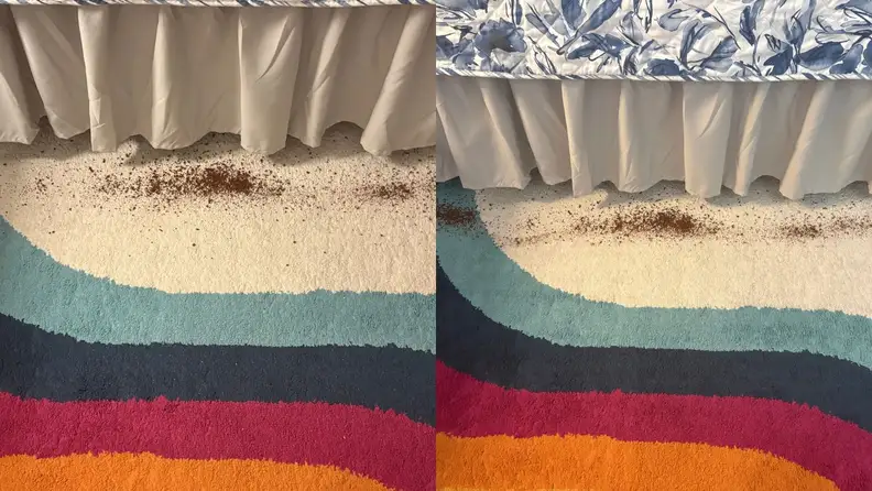 Carpet with dirt