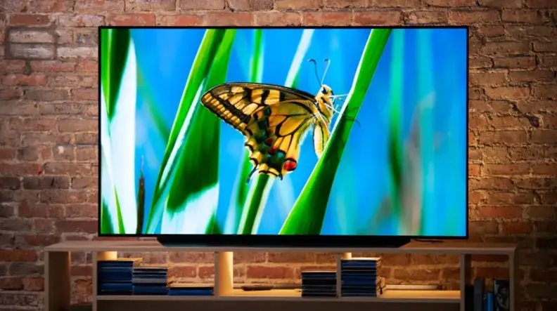 TV