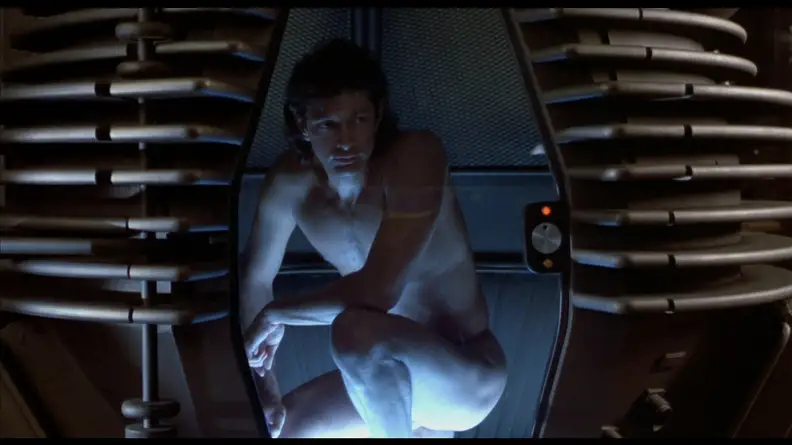 The Fly