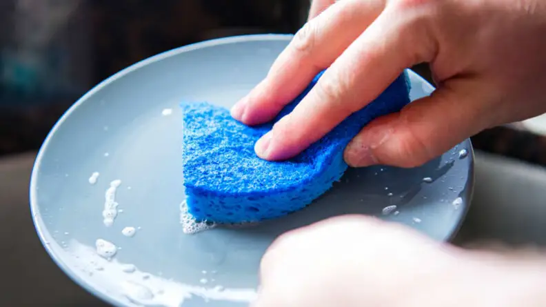 Sponge