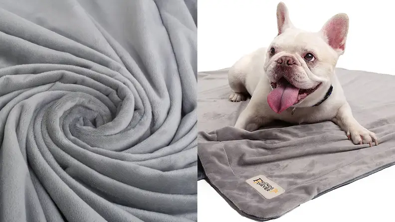 Friends Forever Deluxe Dog Blanket