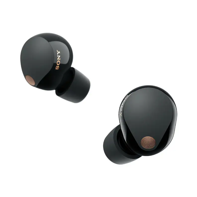 Pair of earbuds