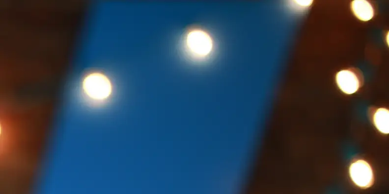A sample crop of bokeh shot with the Canon EF-S 24mm f/2.8.