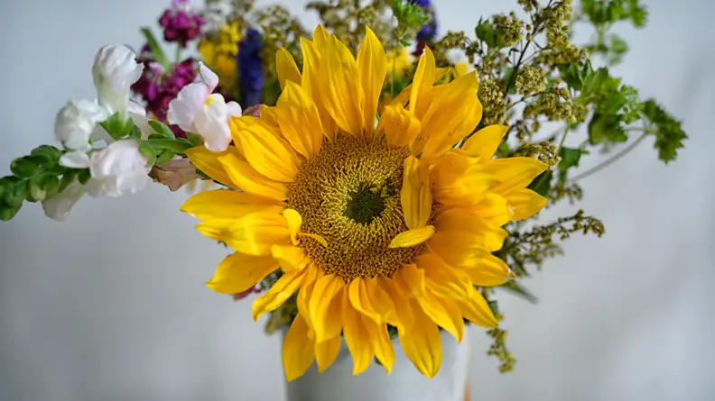 The flowers that had the baking soda and salt added to their water were still perky after 10 days.