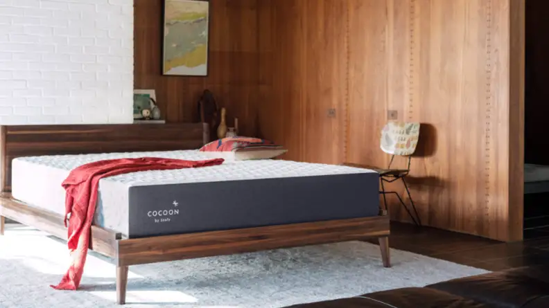 Cocoon by Sealy mattress