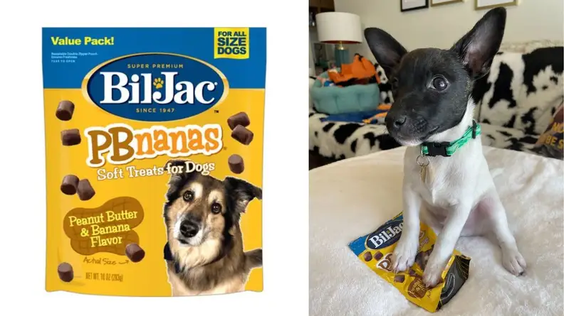 Bil-Jac PB Nana Treats