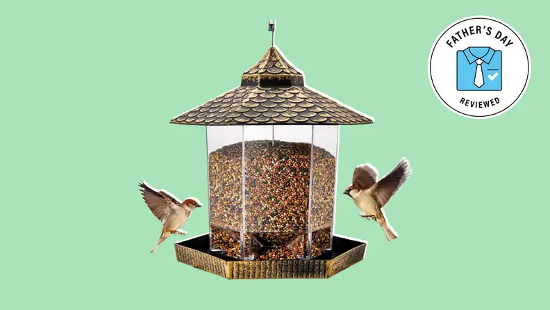 Best Lawn and Garden Father's Day gifts: Twinkle Star Wild Bird Feeder