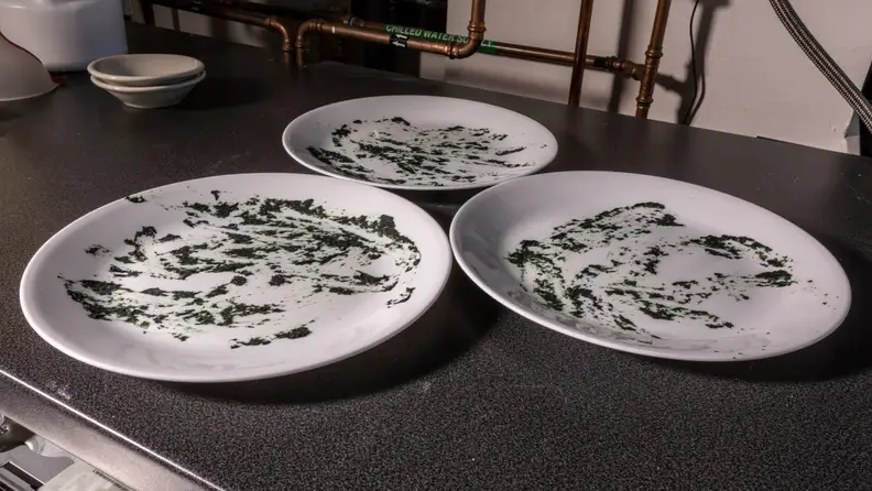 These plates are covered in dried spinach, a stain that plagues even the best dishwashers.