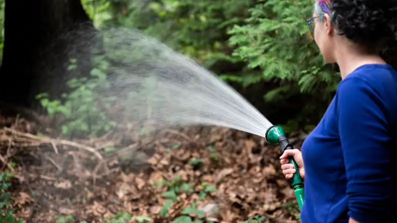 A person waters their yard with the shower setting on a hose nozzle.