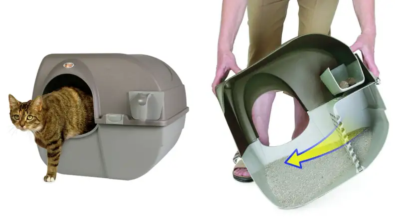 Litter Box