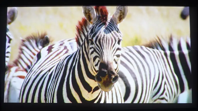 Hisense Laser TV Review