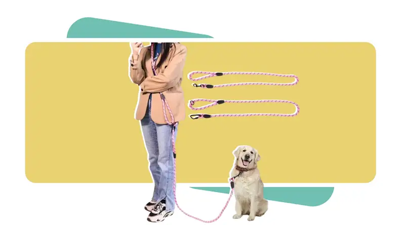 Person standing next to their dog while wearing the Jopoy Hands Free Dog Leash