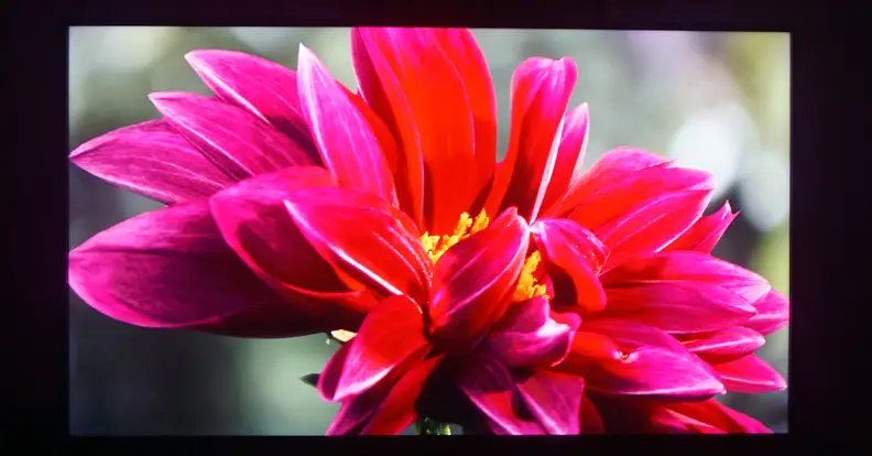 Element Roku TV color performance