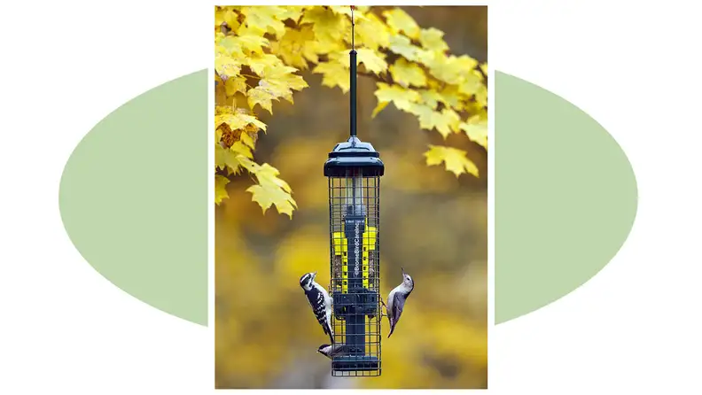 Product shot of the Suet Squirrel-proof Suet Bird Feeder.