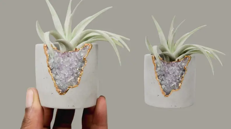 amethyst geode planter with succulent