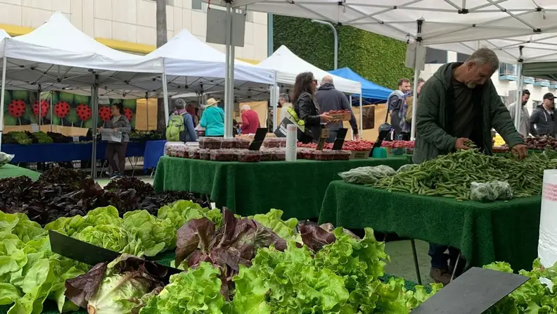 Tables of fresh lettuce, strawberries, and produce at an outdoor market