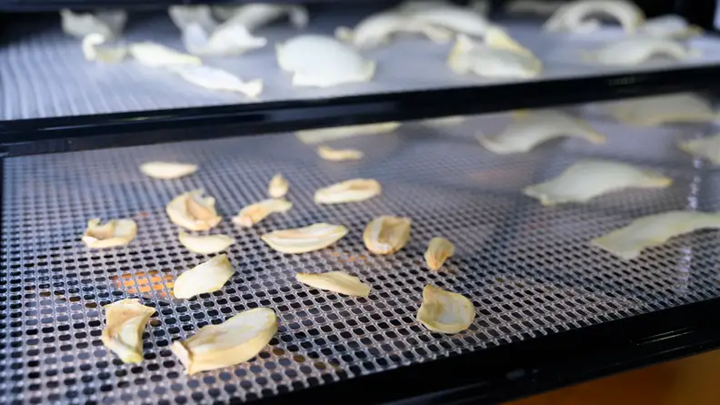 Homemade apple chips arranged on a tray that fits in a dehydrator.