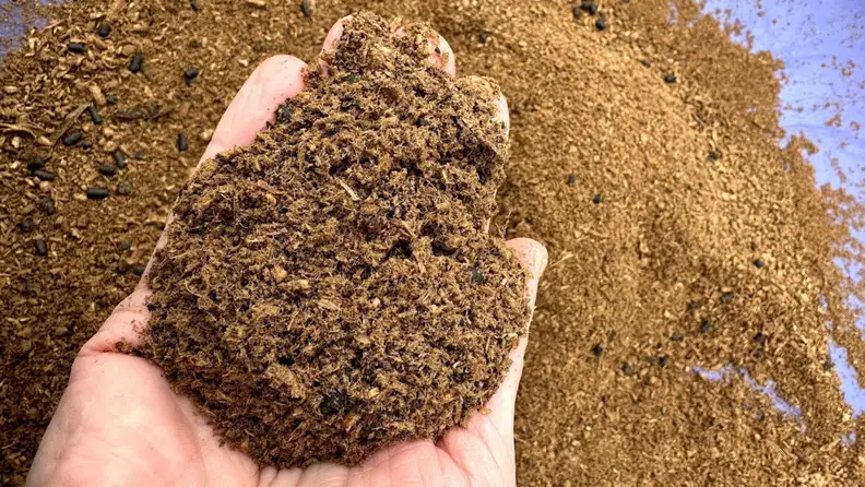 Sifted compost, ready to be cured after decomposing in the Reencle Prime.