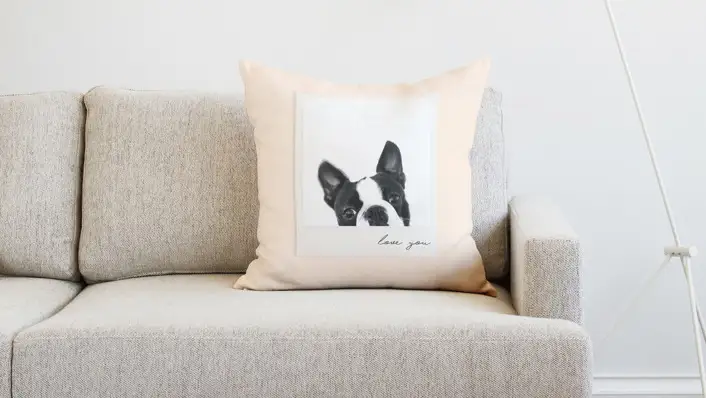 Photo of pillow with dog in polaroid on it.