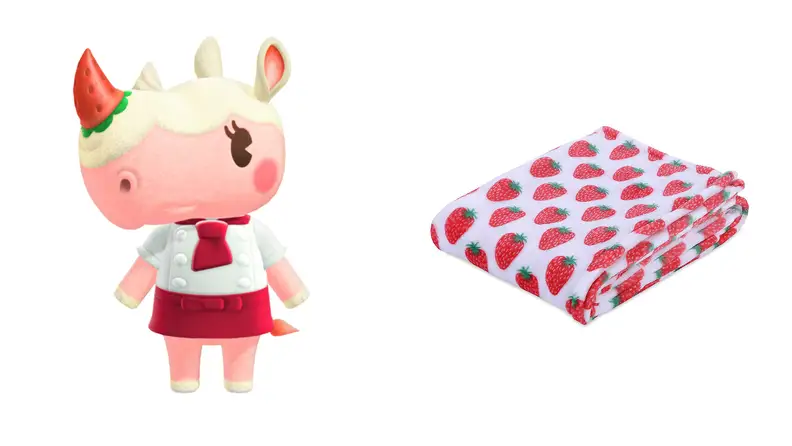 Merengue next to a colorful blanket