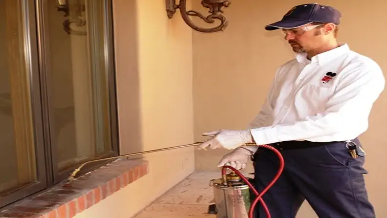 Technician spraying pesticide along an exterior window ledge
