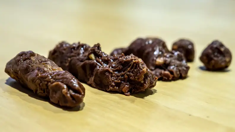 Examples of the fake excrement that we make in the lab