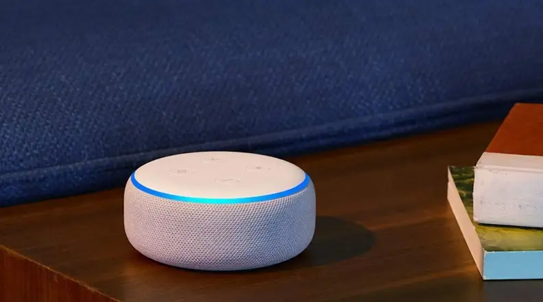 Echo Dot on living room table