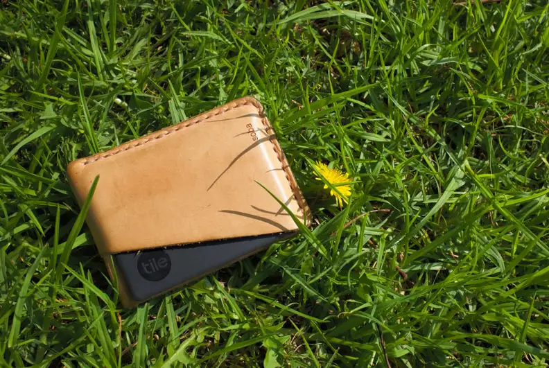 A wallet laying on green grass