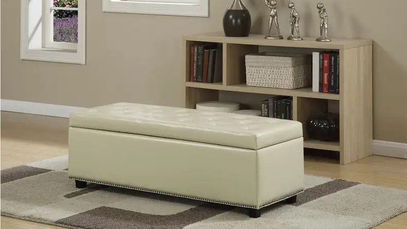 Home Depot chest on rug