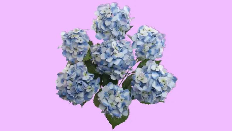 Best places to buy artificial flowers: Wayfair