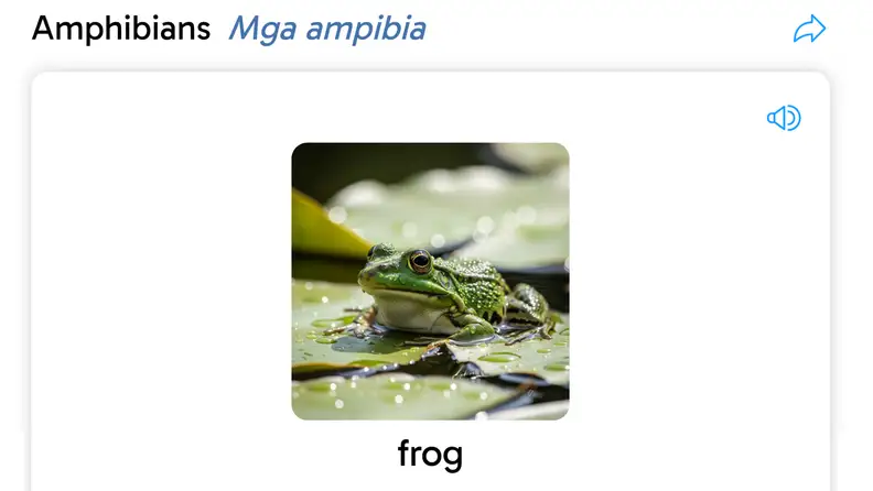 A flashcard with a picture of a frog on it